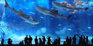 Aquarium