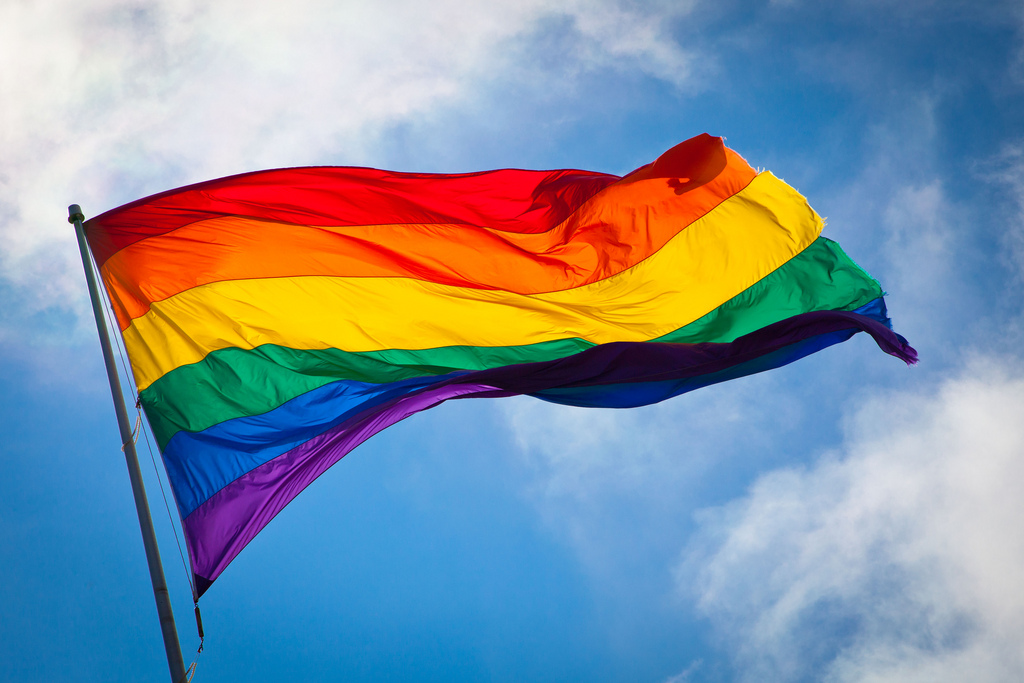 the gay adoption controversy gay fuck huge cock
