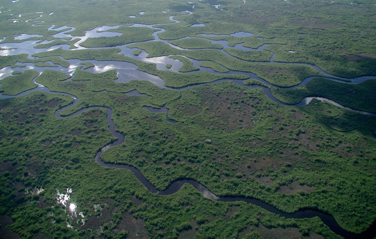 Everglades by National Park Service