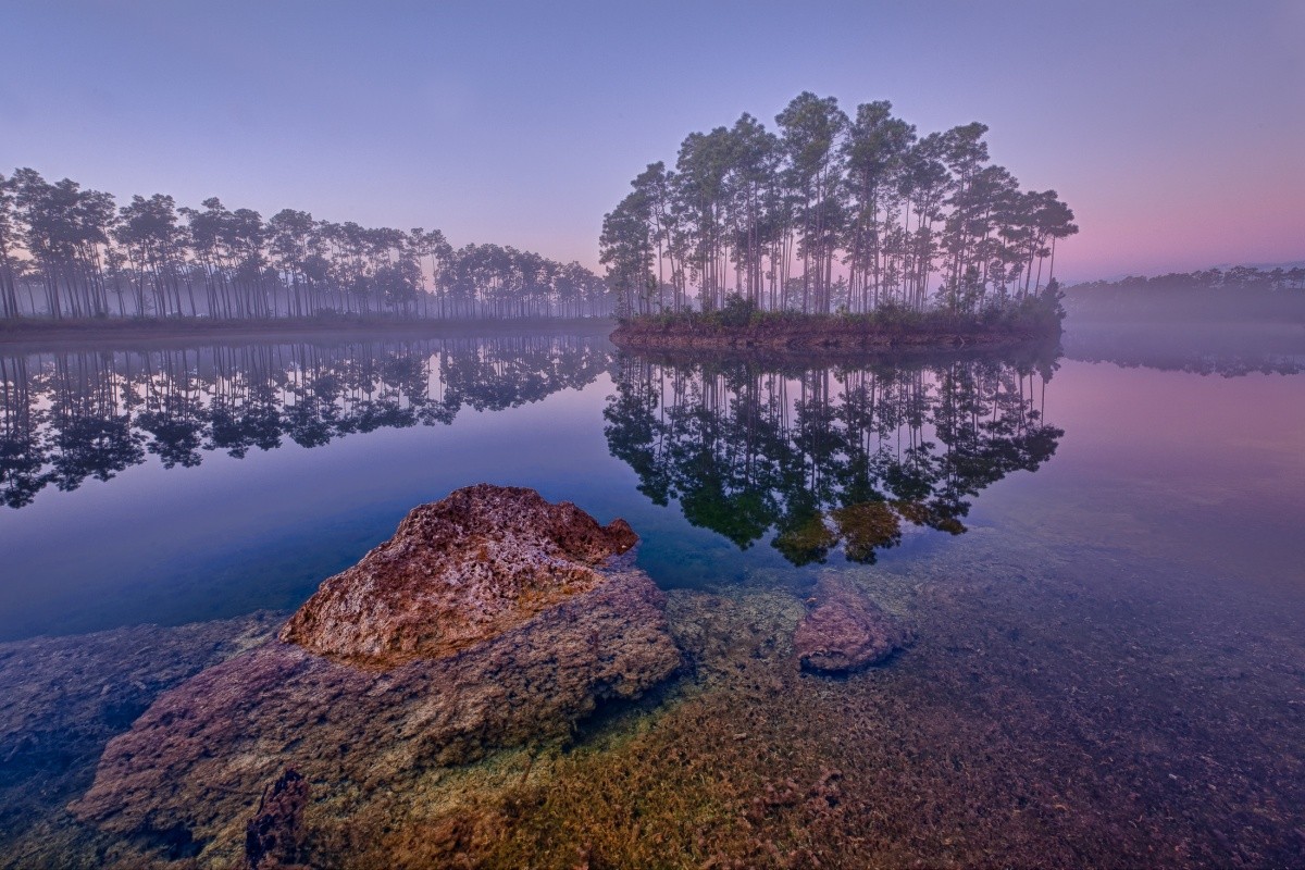 Long Pine Lake, Everglades by Glenn Nagel