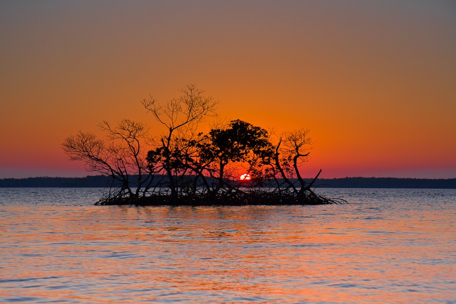 Oyster Bay, Everglades by James Pion