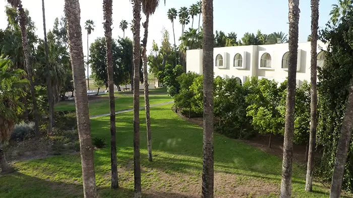 Israel hostel garden