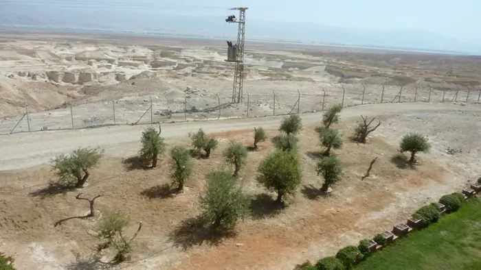 Israel hostel sustainable program