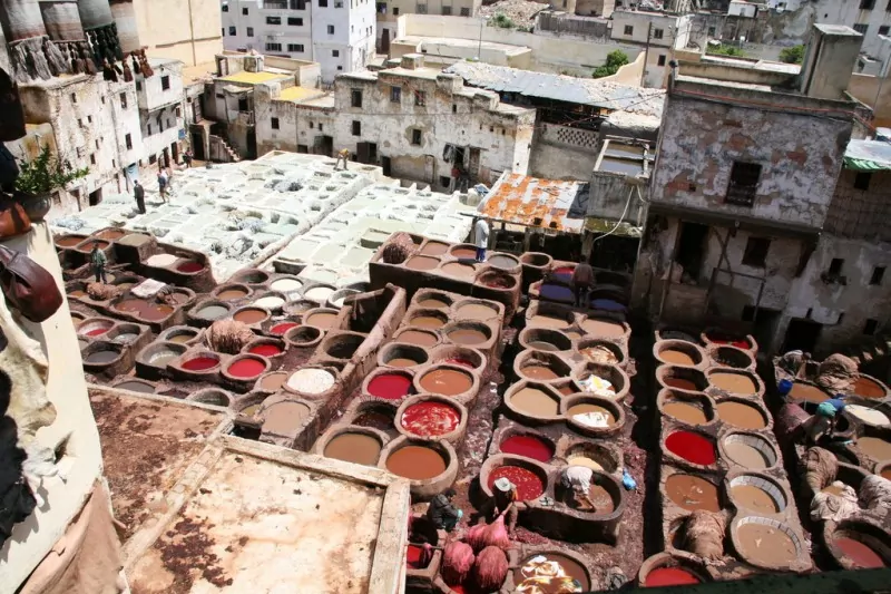 Fez Tanners' Quarter