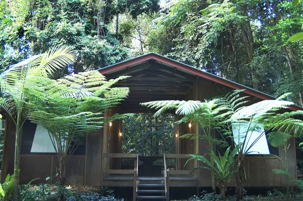 Cape Tribulation YHA Cape Tribulation YHA