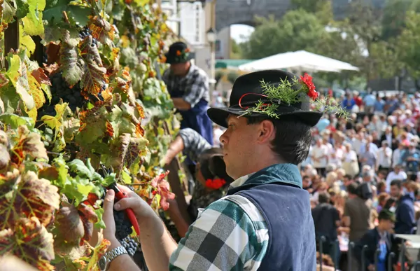 Old wine festival - Maribor (Author-Old wine festival - Maribor), www.slovenia.info