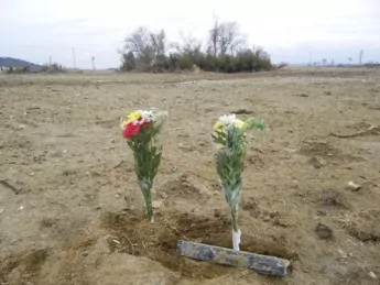 Flowers for the lost souls from JYH and HI