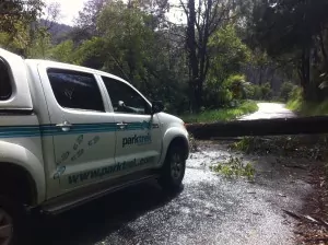 Day 3 trying to get home