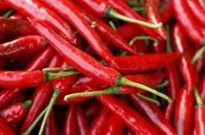chillies 1