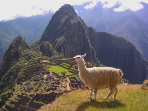 View over Maccu Picchu, Peru
