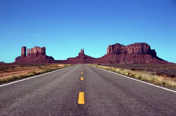 Take the volunteer route