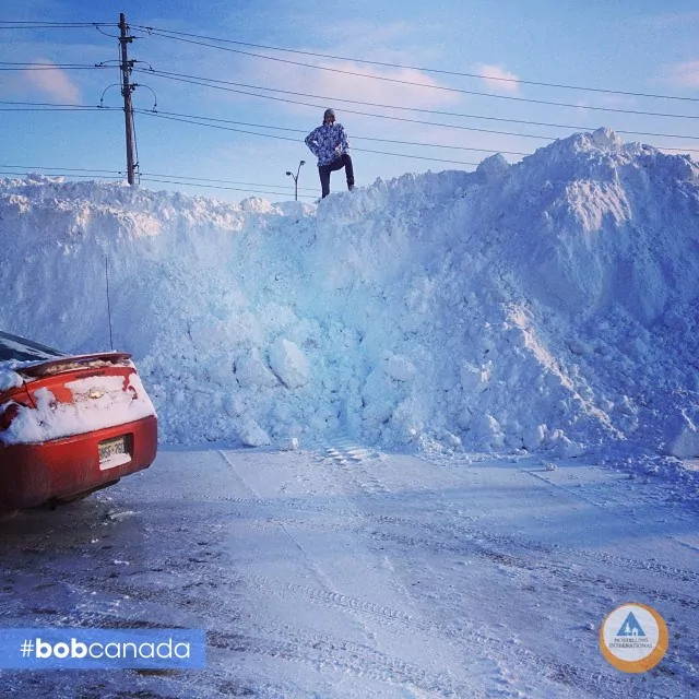 Canada is the best at three things: hockey, curling and snowbanks.