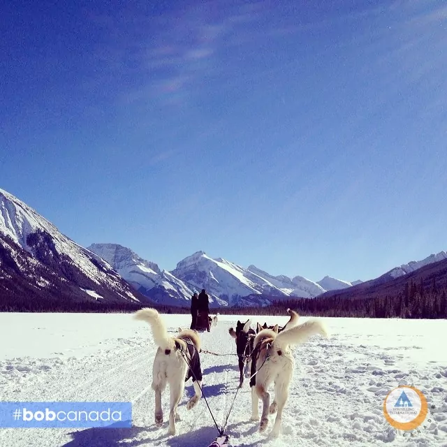 Crossing a lake using only dog power. Just one more reason you gotta do Canada in the winter.
