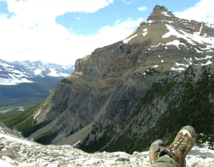 Mosquito Creek Wilderness Hostel