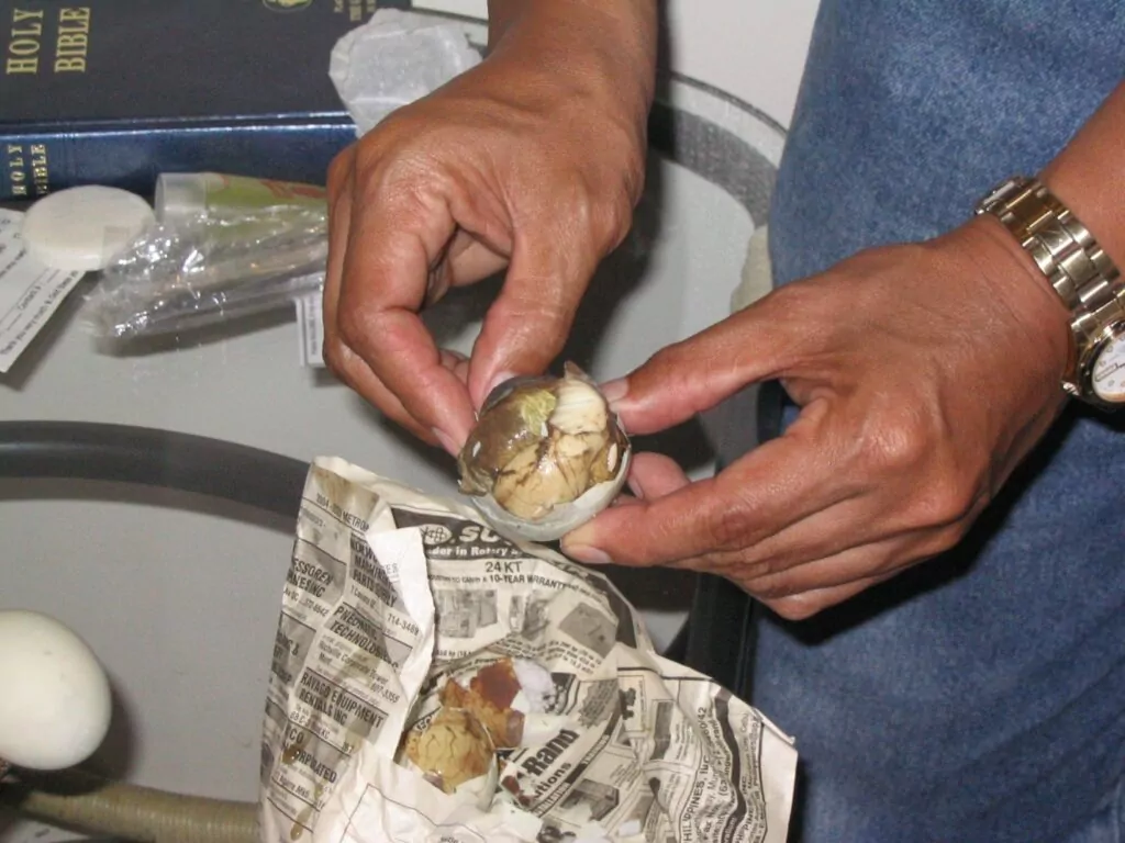 Balut