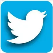 twitter button