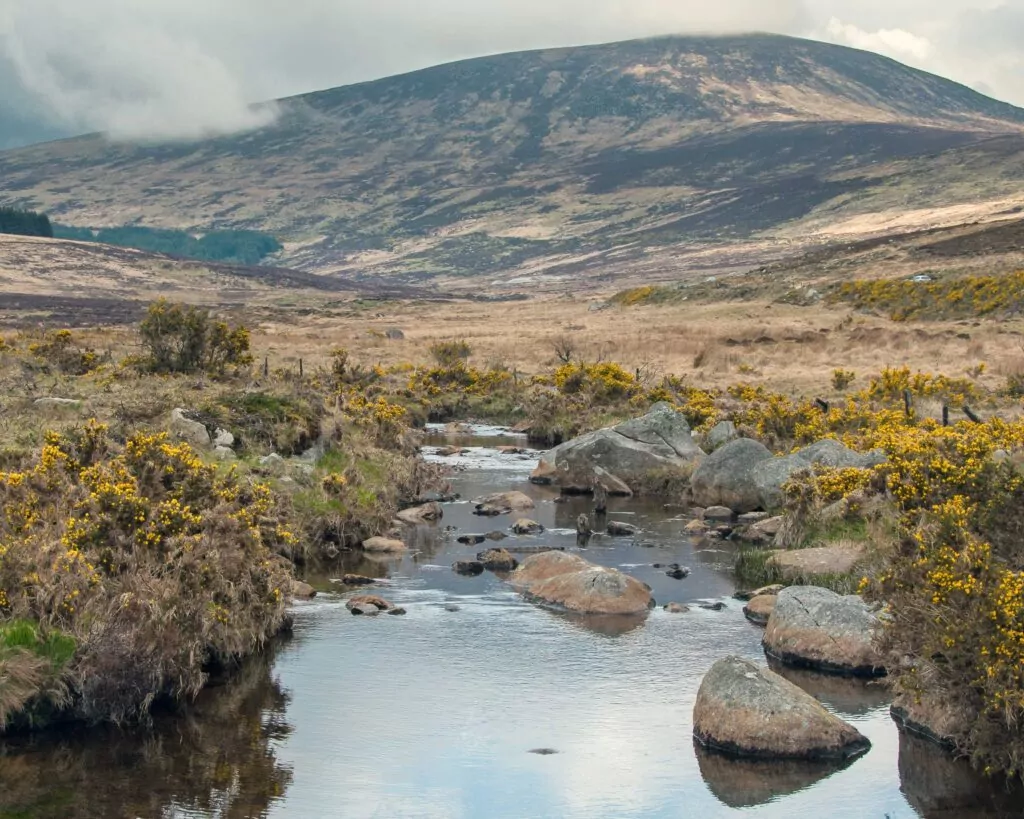 Glendasan River, Wicklow Mountains