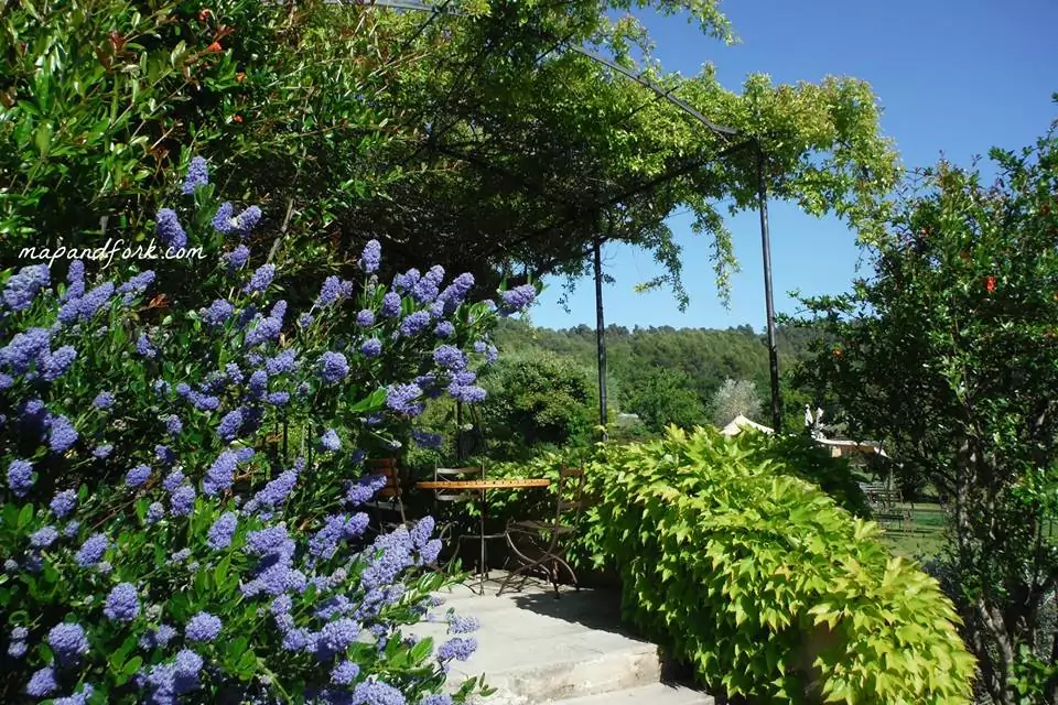 photo3