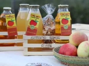 Sadjarska kmetija rožej