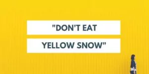 yellowsnow