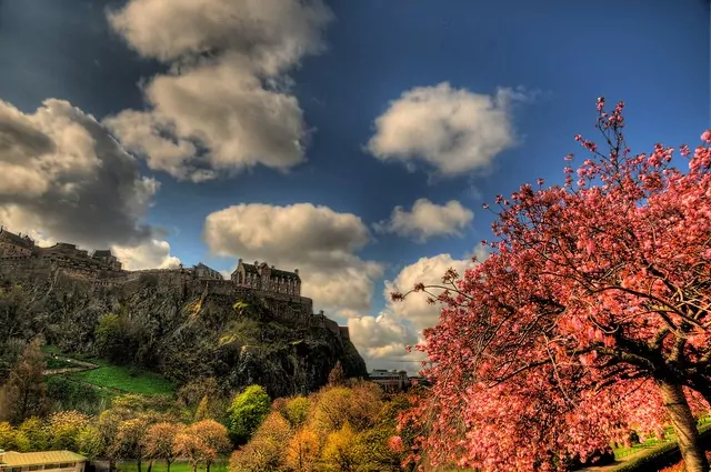 Image cred:  http://ow.ly/RZsIj 