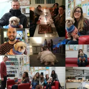 12717169_1690880647851498_3715432149528967086_n