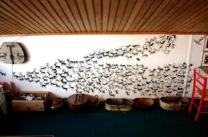 Photo credit: Daisy Chain