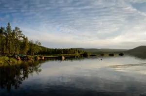 Photo credit: Stefanie Kurtz