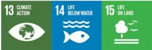 SDGs