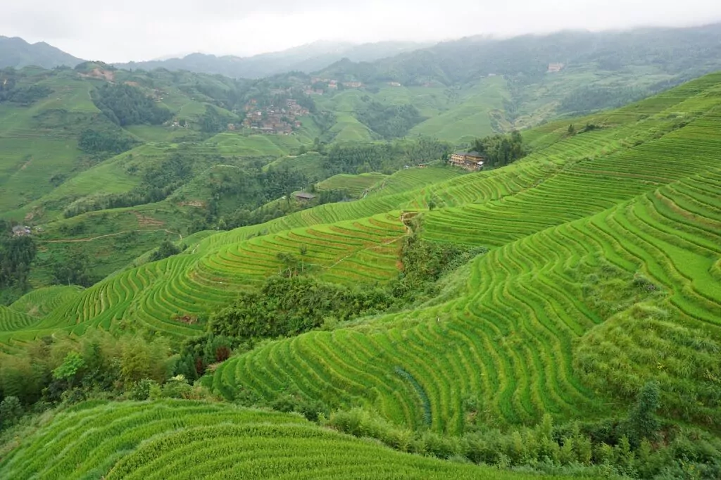 Longsheng Rice Terraces