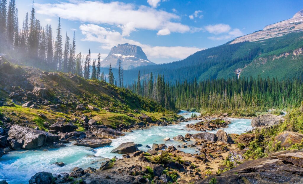 A river in Yoho National Park