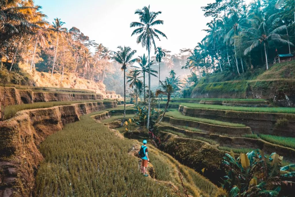 Bali, Indonesia - Hostelling International